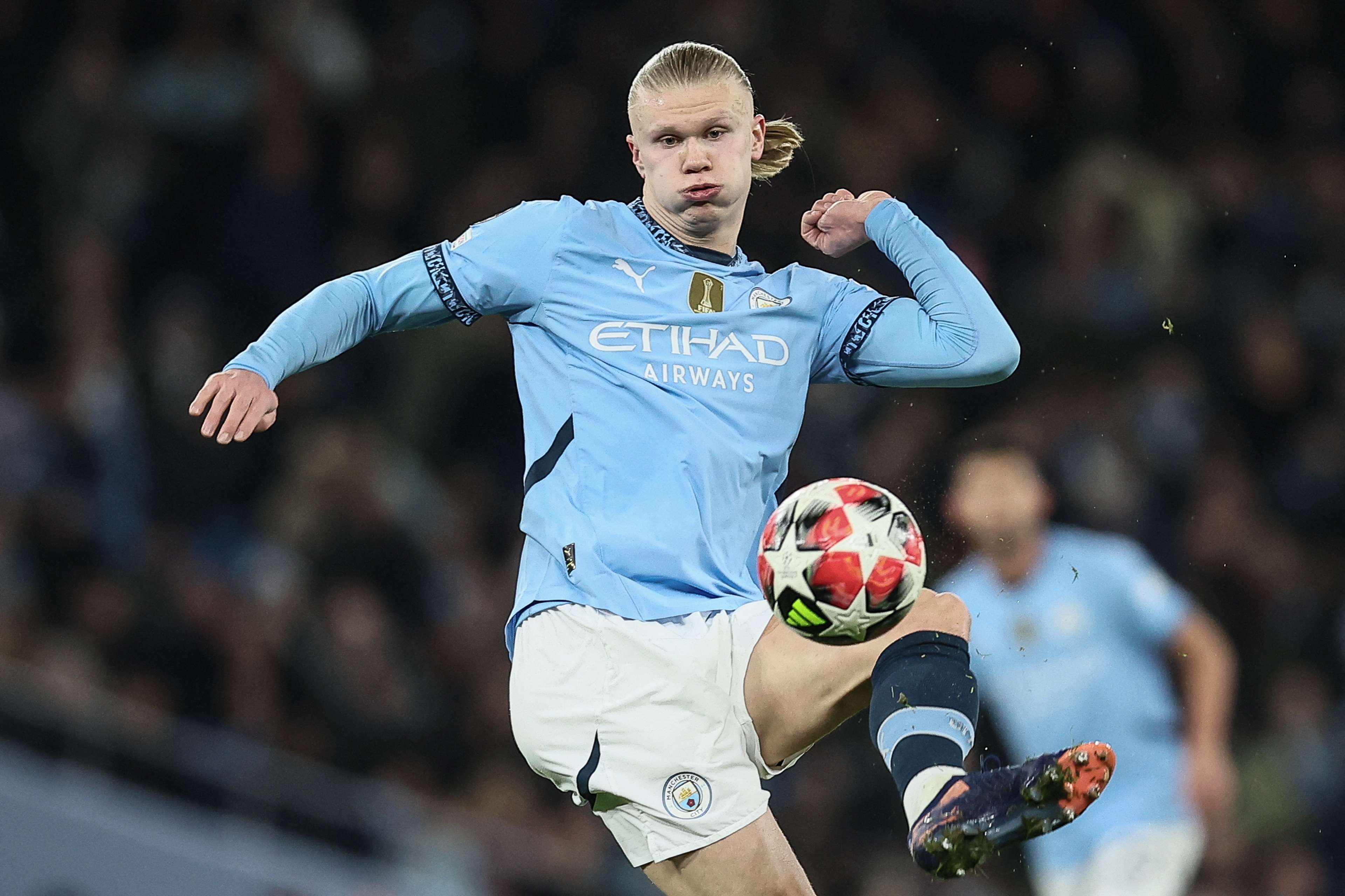 招募计划的 招募计划的